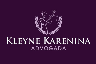 KLEYNE KARENINA SOCIEDADE INDIVIDUAL DE ADVOCACIA
