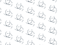 ANA PAULA MARTIN ALVES DA SILVA